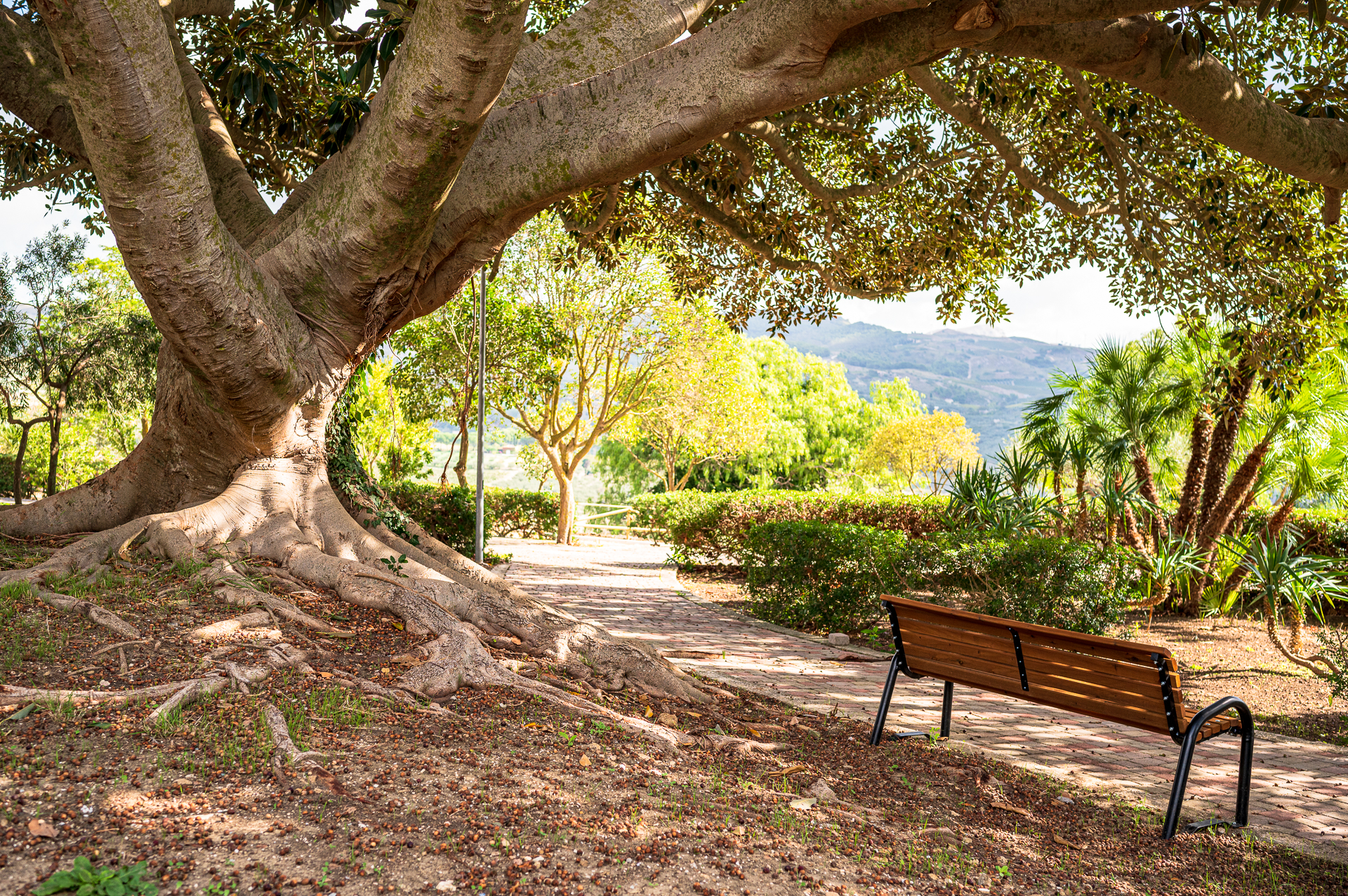 panormaic viewpoint