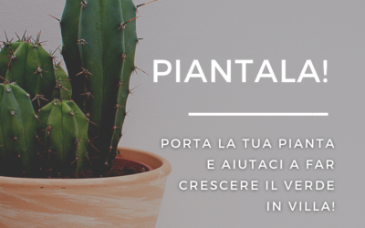 The Piantala initiative! colors the Municipal Villa